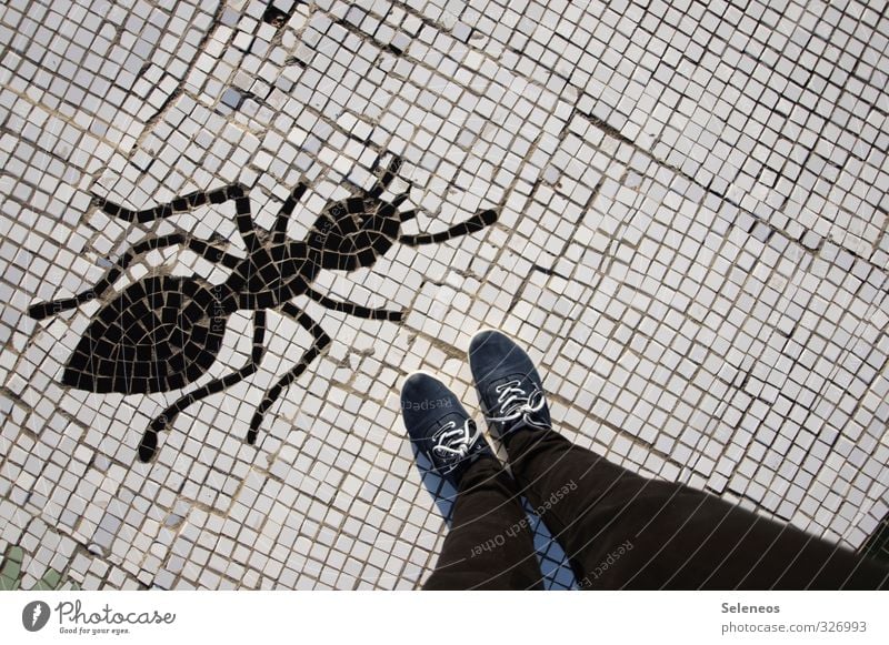 ant Mensch Beine Fuß 1 Hose Jeanshose Schuhe Tier Ameise Insekt Stein Zeichen bedrohlich groß klein Kreativität Kunst Natur Mosaik Farbfoto Außenaufnahme Tag