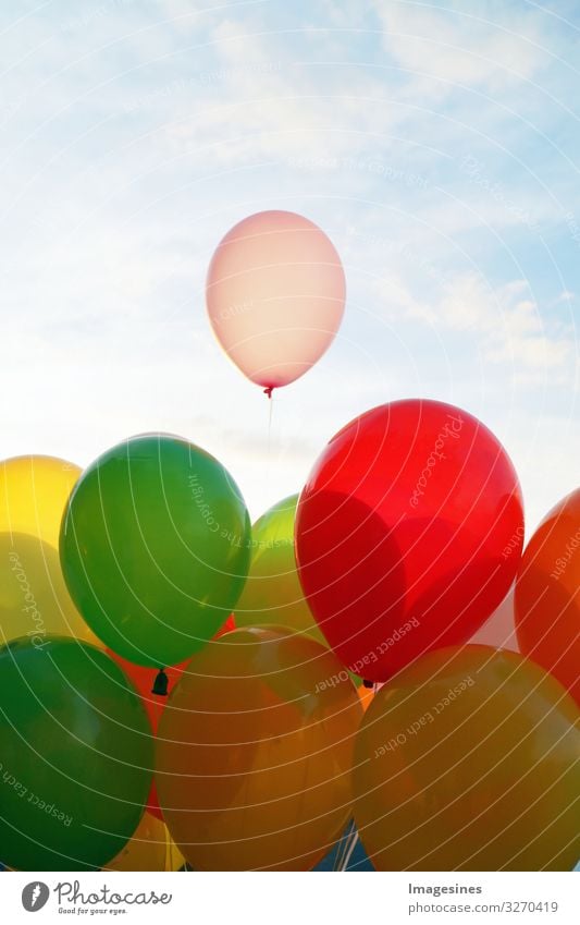 Ballons Lifestyle Freude Glück Freizeit & Hobby Feste & Feiern Valentinstag Hochzeit Geburtstag Partystimmung Liebesgruß Luftballon Lebensfreude "leben feiern
