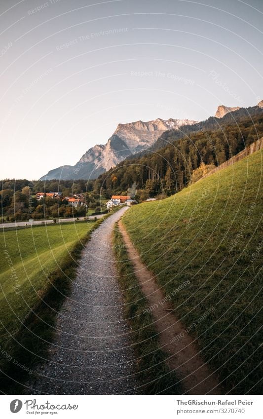NR 1000 Natur Landschaft grün Schweiz Wege & Pfade Reisefotografie Haus Berge u. Gebirge maienfeld Heidi-Dorf Gras laufen Zukunft let's go weiter gehts Wald