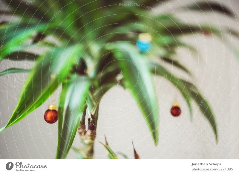 Weihnachtspalme Häusliches Leben Wohnung Weihnachten & Advent ästhetisch trendy einzigartig Weihnachtsbaum Palme Drachenbaum Christbaumkugel Schmuck