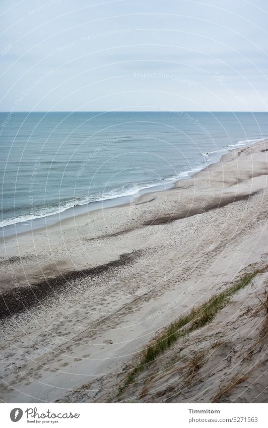 Blick hinab auf Strand und Nordsee (1) Düne Sand Wasser Wellen Steine Horizont blau Dünengras Dänemark Ferien & Urlaub & Reisen Küste Menschenleer Himmel Spuren