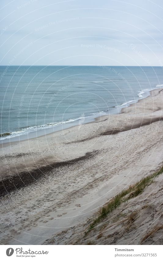 Blick hinab auf Strand und Nordsee (2) Düne Sand Wasser Wellen Steine Horizont blau Dünengras Dänemark Spuren Himmel Menschenleer Küste Ferien & Urlaub & Reisen