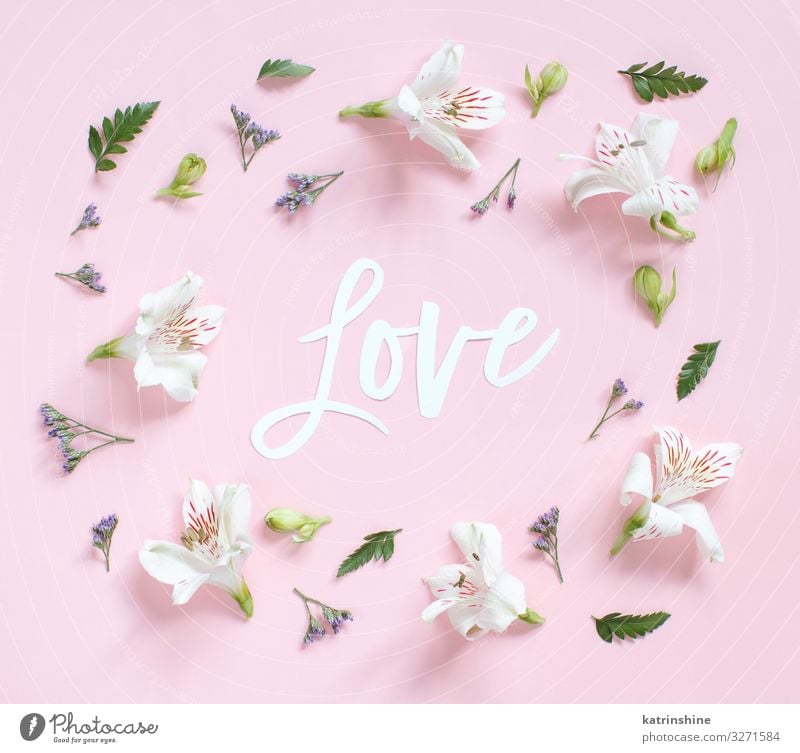 Blumen und das Wort LOVE auf einem hellrosa Hintergrund Design Dekoration & Verzierung Hochzeit Frau Erwachsene Mutter oben weiß Kreativität romantisch Briefe