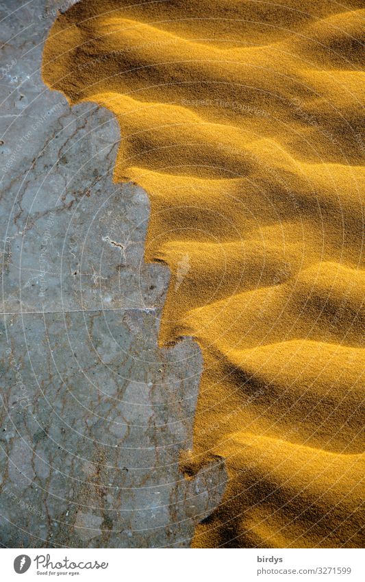 Verwüstung Sand Klimawandel Dürre Wüste Stein authentisch außergewöhnlich exotisch heiß natürlich trocken gelb grau Bewegung bizarr Natur Umwelt Vergänglichkeit