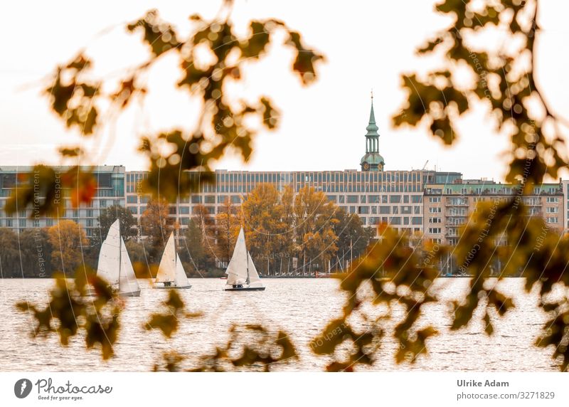 Segelboote auf dem Alstersee in Hamburg - UT Hamburg 2019 alstersee Binnenalster See Boote Ast Stadt Deutschland Hansestadt warm Wasser Herbst Herbstlaub