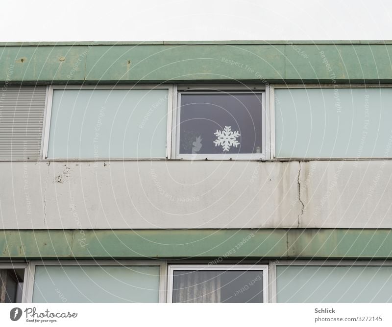 Hoffnung Feste & Feiern Weihnachten & Advent Dekoration Leuchte Haus Sozialbau Plattenbau Fassade Fenster Kunststoff Zeichen hässlich Stadt grau grün Einsamkeit