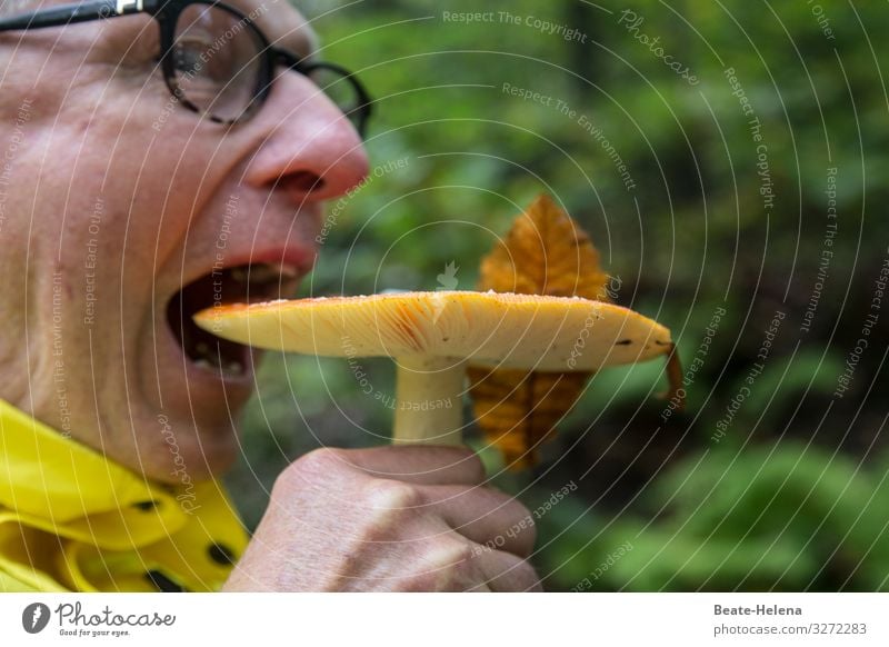 Verlockende Köstlichkeiten 5 Ernährung vegetarisch Pilz Bioprodukte Vegetarische Ernährung Farbfoto Essen Foodfotografie