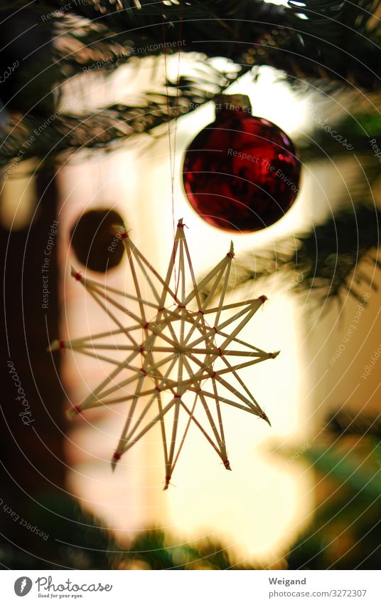 Weihnachtsstern Lifestyle Weihnachten & Advent leuchten Stern Weihnachtsbaum Kugel Feste & Feiern Innenaufnahme