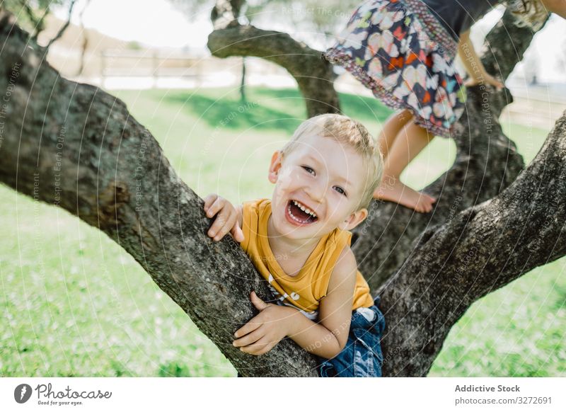 Verspielte Kinder klettern Baum auf sonniger grüner Wiese Aufstieg Garten Spaß haben Geschwister Kindheit Natur Sommer Landschaft Abenteuer Park aktiv Sport