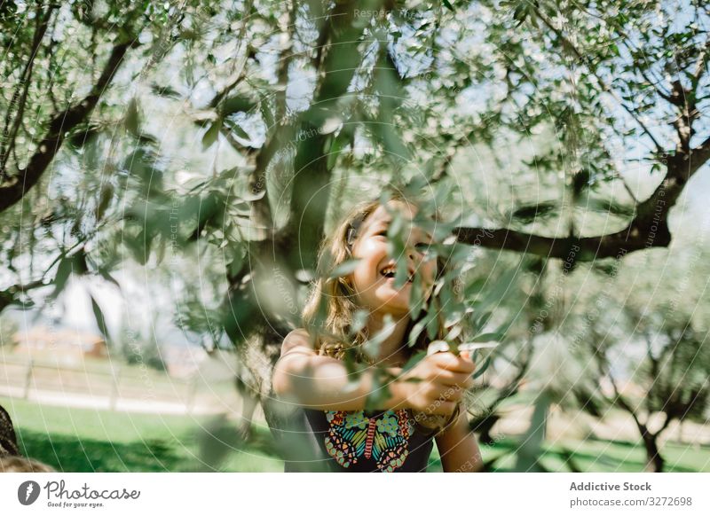 Lächelndes Mädchen klettert an einem sonnigen Tag auf einen Baum Aufstieg Abenteuer Garten Spaß haben Kindheit aufgeregt Natur Sommer Feiertag Park aktiv Sport