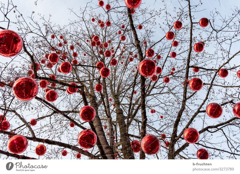 Geschmückter Baum mit roten Kugeln Feste & Feiern Weihnachten & Advent Silvester u. Neujahr Jahrmarkt Umwelt Park Dekoration & Verzierung Kitsch Krimskrams