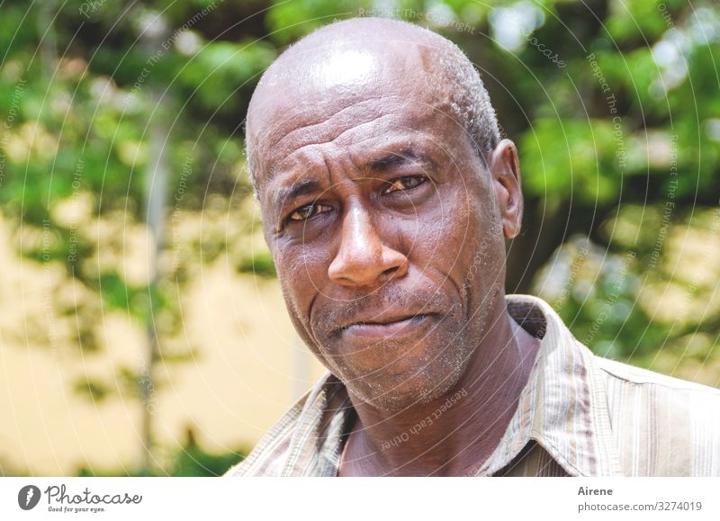 Mann aus Kuba maskulin Erwachsene Senior Kopf 1 Mensch 30-45 Jahre 45-60 Jahre Karibik Mittelamerikaner Kubaner Freundlichkeit braun grün Gelassenheit Weisheit