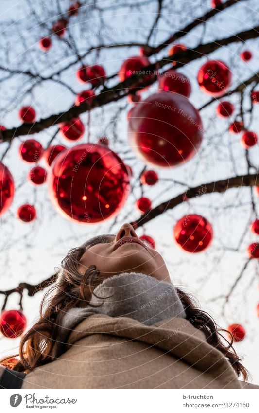 Frau schaut zu roten Kugeln hinauf, rote Kugeln auf einem Baum Lifestyle elegant Stil Design Freude Freizeit & Hobby Entertainment Party Veranstaltung
