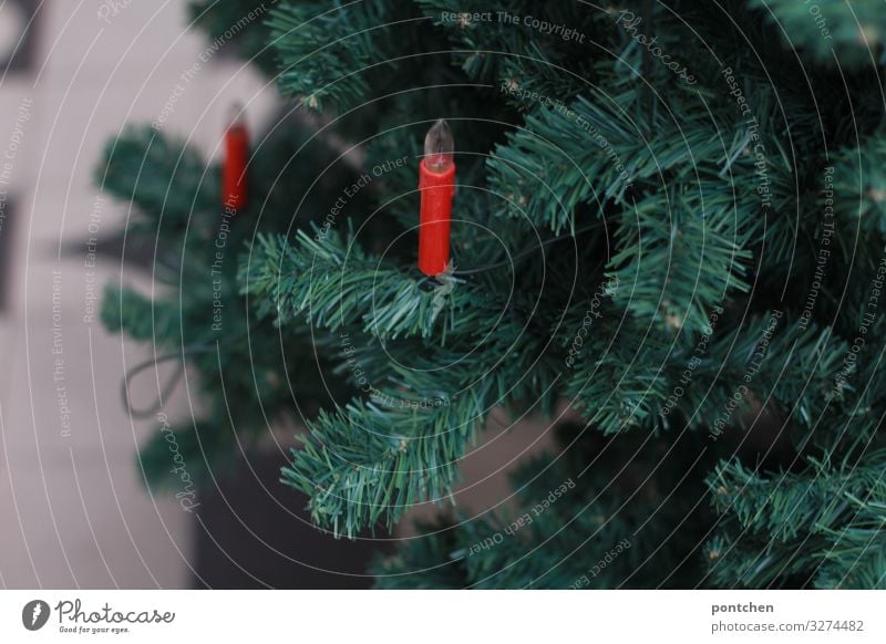 Teil eines Weihnachtsbaumes mit zwei roten elektrischen Kerzen Feste & Feiern Weihnachten & Advent Lichterkette elektrische kerzen Technik & Technologie Natur