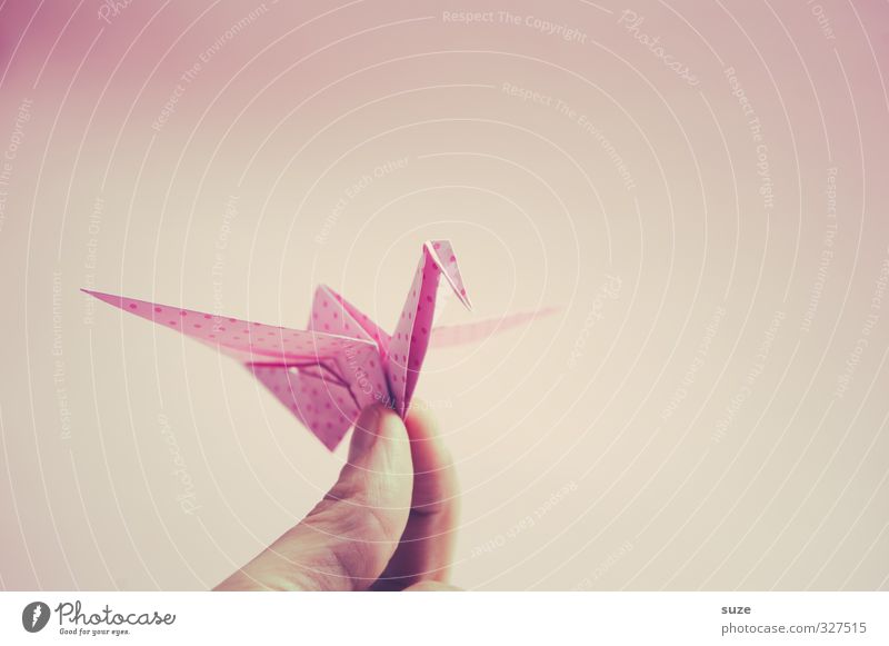 Handgemacht Design Freizeit & Hobby Basteln Dekoration & Verzierung Finger Kunst Tier Vogel Papier festhalten fliegen ästhetisch Kitsch klein niedlich rosa