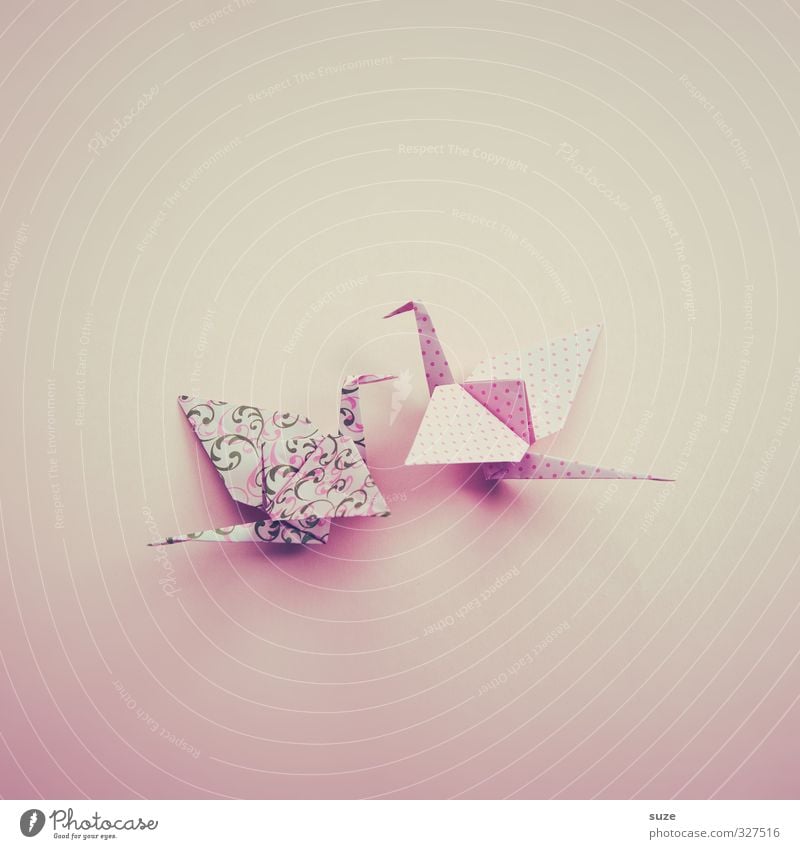 Anmut Design Freizeit & Hobby Basteln Dekoration & Verzierung Flirten Kunst Tier Vogel Tierpaar Papier Brunft fliegen ästhetisch Kitsch klein niedlich rosa