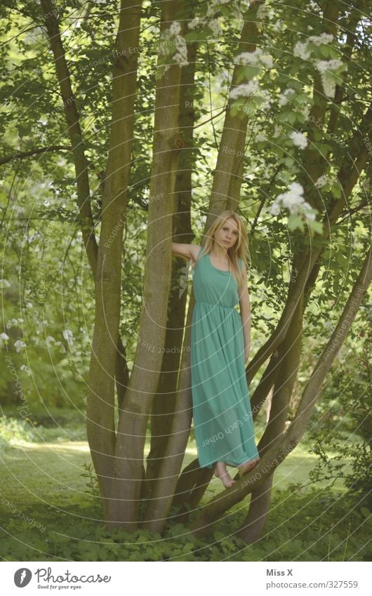 Baumnymphe schön Mensch feminin Junge Frau Jugendliche Erwachsene 1 13-18 Jahre Kind Frühling Sommer Blüte Wald Mode Kleid blond Erotik grün Stimmung