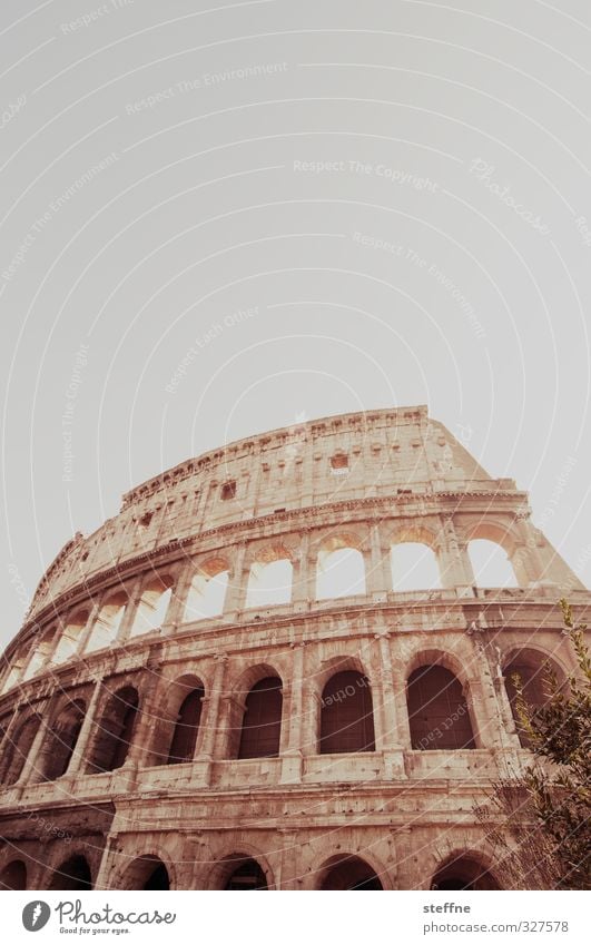 kolossal Rom Italien Sehenswürdigkeit Wahrzeichen Kolosseum alt ästhetisch außergewöhnlich Bekanntheit historisch Gedeckte Farben Außenaufnahme