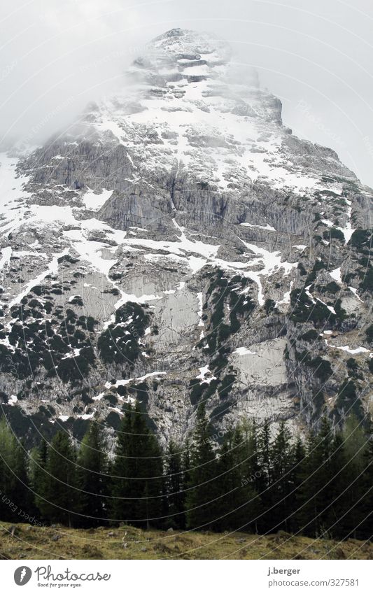 geh du schon vor... Natur Landschaft Frühling schlechtes Wetter Nebel Felsen Alpen Berge u. Gebirge Schneebedeckte Gipfel bedrohlich blau grün Farbfoto