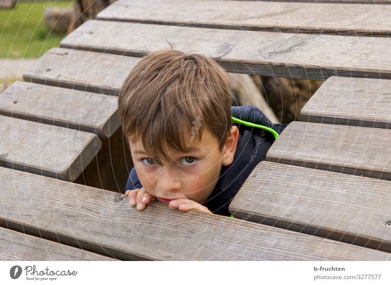 Kind auf Spielplatz Freizeit & Hobby Spielen Ferien & Urlaub & Reisen Junge Gesicht 1 Mensch 8-13 Jahre Kindheit entdecken Blick Holz Fenster verstecken