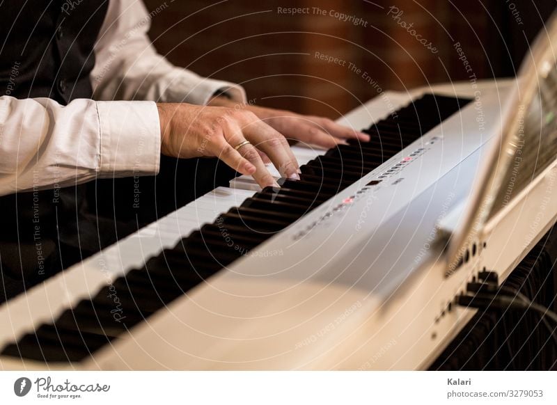 Pianist spielt auf einem Klavier Keyboard klassische Musik musik klavier pianist tastatur hand profi instrument musikant black weiß key musical klassik klang