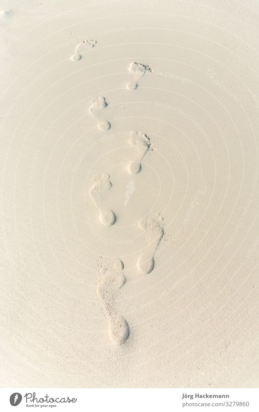 Fußabdruck eines Erwachsenen am Strand Meer Mensch Natur Sand Fußspur Einsamkeit Ko Samet Koh Samet Thailand Asien Barfuß übersichtlich fein Eindruck Spuren