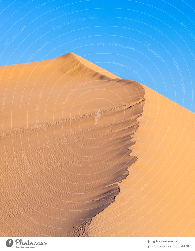 Sanddüne bei Sonnenaufgang in der Wüste schön Ferien & Urlaub & Reisen Abenteuer Berge u. Gebirge Fuß Natur Landschaft Himmel Wind Wärme heiß blau gelb Farbe