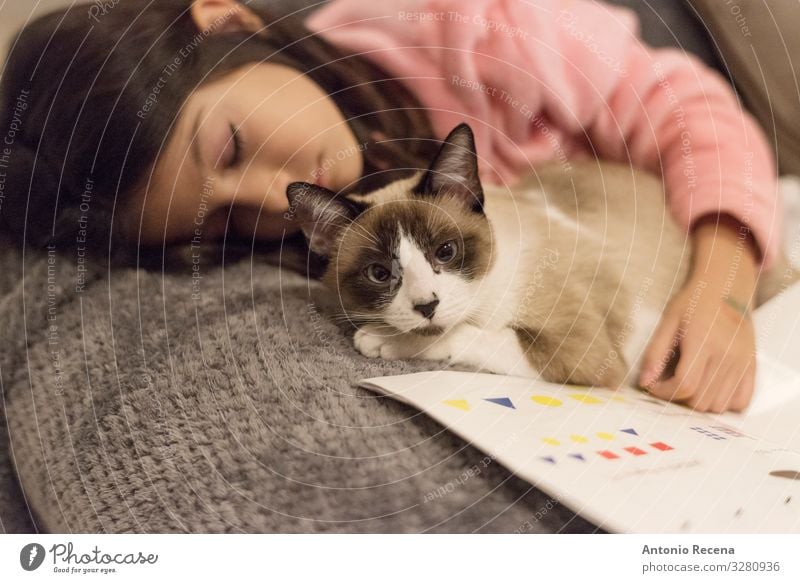 Schlafendes Mädchen mit ihrer kleinen Katze zu Hause entspannt auf dem Sofa. Schlafen und Hausaufgaben machen Lifestyle lesen Kind Frau Erwachsene Buch Haustier