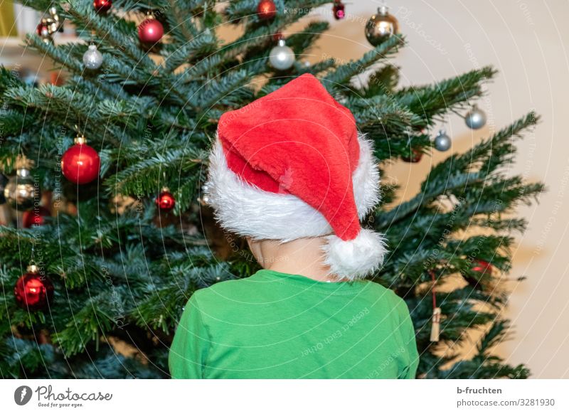 Kind mit Weihnachtsmütze vor Weihnachtsbaum Party Veranstaltung Feste & Feiern Weihnachten & Advent Kopf Rücken 1 Mensch 8-13 Jahre Kindheit Baum Mütze Zeichen