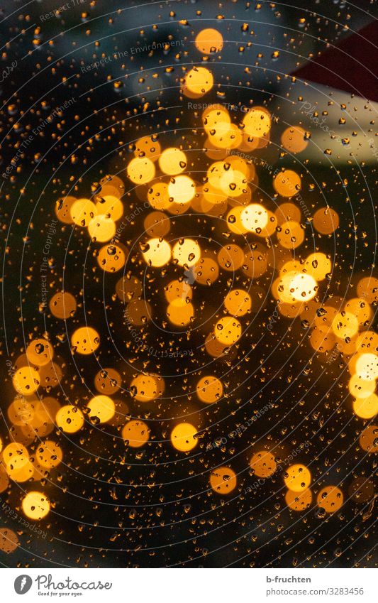 Weihnachtsbaum im Regen Nachtleben Veranstaltung Feste & Feiern Weihnachten & Advent Baum Zeichen beobachten leuchten Blick glänzend Glück gold Wassertropfen