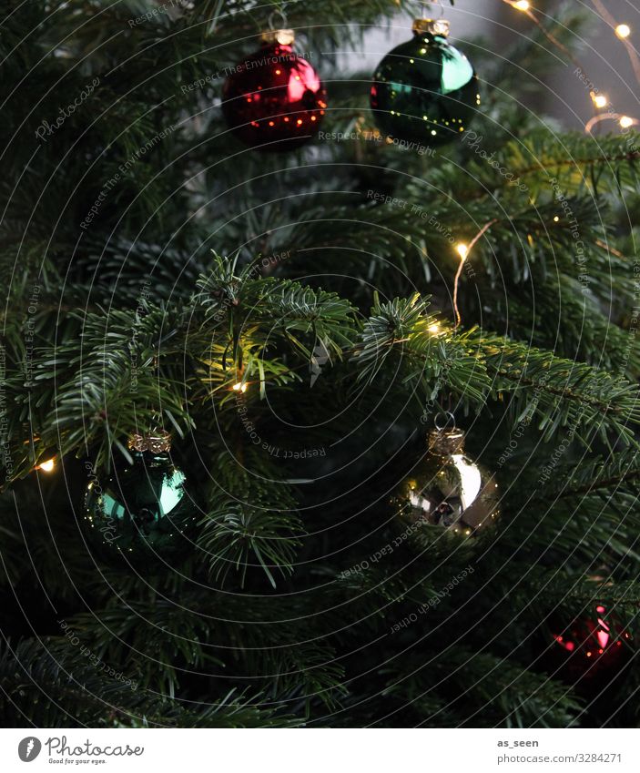 Weihnachtsschmuck Häusliches Leben Innenarchitektur Dekoration & Verzierung Weihnachten & Advent Pflanze Baum Fichte Tanne Weihnachtsbaum Holz Glas Metall