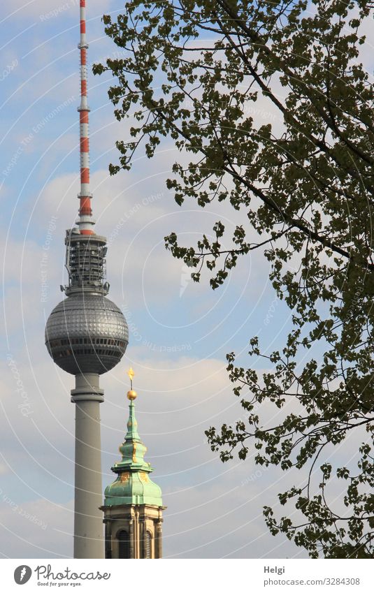 Berliner Fernsehturm neben einem Kirchturm Umwelt Natur Baum Kirche Turm Bauwerk Gebäude Architektur Sehenswürdigkeit Wahrzeichen stehen ästhetisch