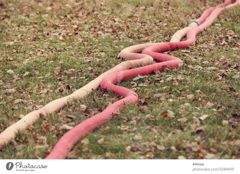 Wasser marsch! Feuerwehr Herbst Wiese Löschschlauch Schlauch schlangenförmig liegen rot Sicherheit Schutz Verantwortung Verlässlichkeit Design Netzwerk