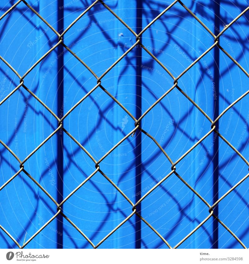 Geschichten vom Zaun (68) Baustelle Schönes Wetter Container Gitter Maschendraht Maschendrahtzaun Metall Stahl Linie Streifen blau Stimmung Sicherheit Schutz