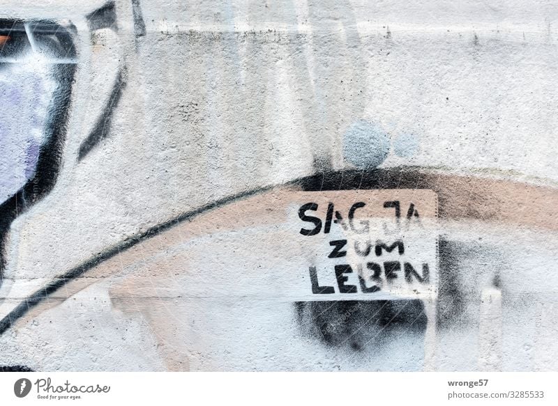 Sag JA zum Leben Mauer Wand Beton Schriftzeichen Graffiti Stadt braun grau schwarz Gefühle Stimmung Glück Lebensfreude Begeisterung Mut Betonwand Querformat