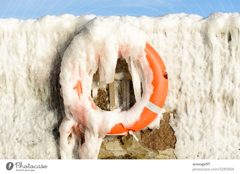 Winter an der See I Hafen hängen kalt maritim blau orange weiß Sicherheit Rettung Eis Eiszapfen gefroren Rettungsring Notfall Mauer Mole Farbfoto mehrfarbig