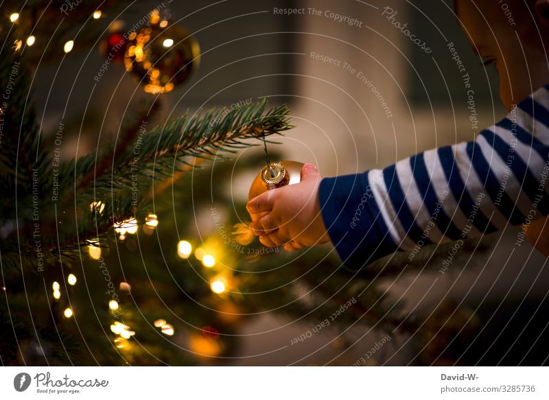 Kind erforscht den Weihnachtsbaum und greift nach einer Christbaumkugel Weihnachten & Advent schmücken hand neugierig Vorfreude Weihnachtsstimmung Lichterkette