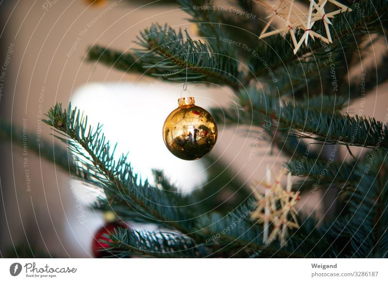Kugel Zufriedenheit Erholung Weihnachten & Advent leuchten rund Christbaumkugel Weihnachtsbaum Innenaufnahme