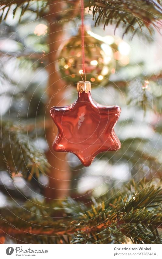 Christbaumschmuck aus Glas in Sternform hängt im Weihnachtsbaum Baum Tanne Nordmanntanne Dekoration & Verzierung Kitsch Krimskrams Christbaumkugel Baumschmuck