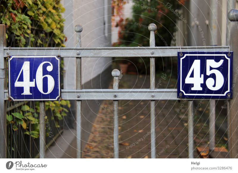 Pforte mit Hausnummern 45 und 46 Pflanze Blatt Hamburg Stadt Hafenstadt Mauer Wand Tor Wege & Pfade Stein Metall Ziffern & Zahlen festhalten stehen