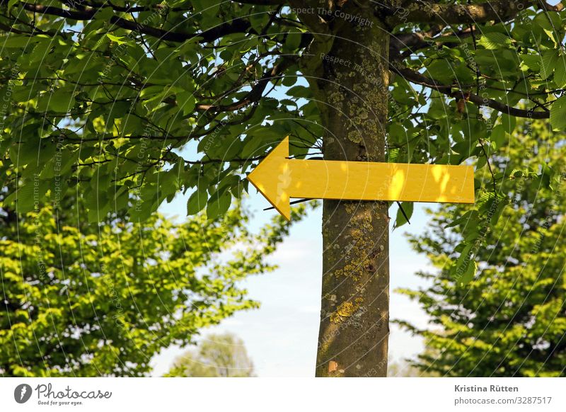 da lang wandern Natur Baum Park Wald Wege & Pfade Zeichen Pfeil gelb Ziel Richtung wegweiser Orientierung hinweis Fußweg wanderroute Schnitzeljagd