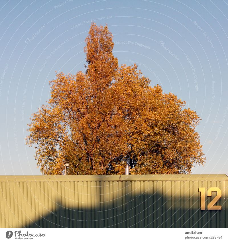 12 Natur Sommer Herbst Baum Blatt Stadtrand Gebäude Lagerhalle Metall Ziffern & Zahlen hängen ästhetisch blau braun gelb grün Zufriedenheit