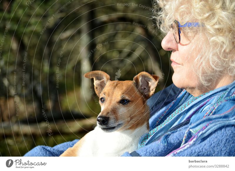 weitsichtig | Blick auf den See Frau Erwachsene 1 Mensch 60 und älter Senior Natur Landschaft Baum Sträucher Hochmoor Brille blond Locken Hund Tier genießen