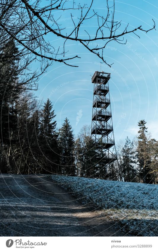 Aussichtsturm Turm pfannenstiel Schweiz Wald Architektur Metall Treppe Berge u. Gebirge Alpen Waldweg Wolken blau Landschaft Natur Textfreiraum oben Himmel
