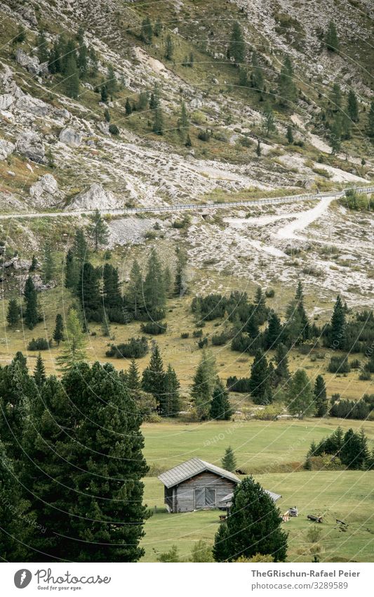 Alphütte in den Dolomiten Haus Alpen passstraße Bäume draußen Berge u. Gebirge Wiese Weide