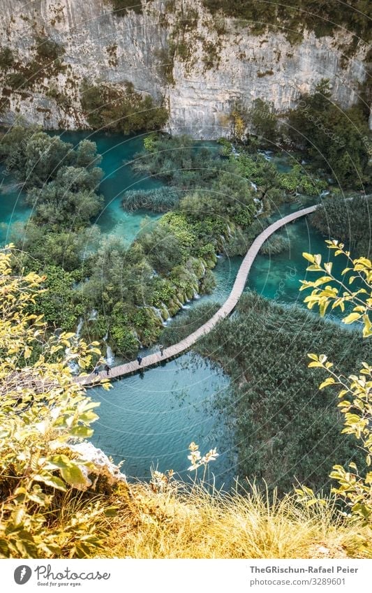 Plitvicer Seen Natur blau grün türkis Baum Steg plitvicer seen Wasser Nationalpark Felsen Sträucher Kroatien Ferien & Urlaub & Reisen Reisefotografie Farbfoto
