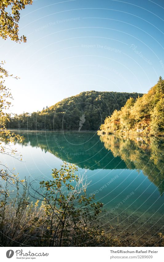 Plitvicer Seen Umwelt Natur blau türkis plitvicer seen Baum Nationalpark wandern Himmel Kroatien Reflexion & Spiegelung Sonnenaufgang Ferien & Urlaub & Reisen