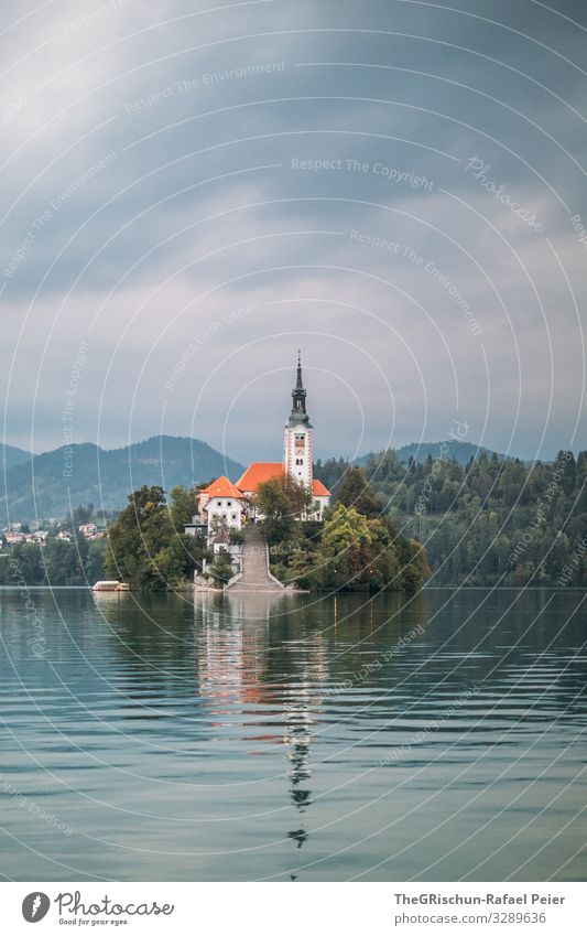 Lake Bled Natur blau grau schwarz weiß Kirche Insel Reflexion & Spiegelung Berge u. Gebirge lake bled bleder see Slowenien Reisefotografie geschätzt Angeln
