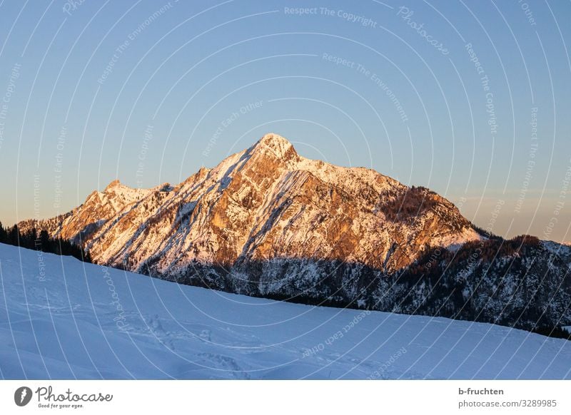 Berg im Abendlicht harmonisch Zufriedenheit Freizeit & Hobby Ferien & Urlaub & Reisen Tourismus Ausflug Freiheit wandern Sonne Winter Felsen Alpen