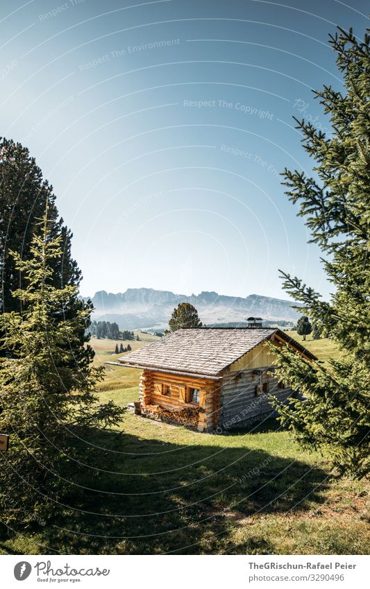 Alpe di Suisi - Seiser-Alm Natur Landschaft blau braun grau grün schwarz Hütte Seiser Alm Baum Berge u. Gebirge ruhig privat Einsamkeit Schatten Licht Holz